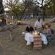Hwange Safari Lodge - 141015
