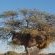 Indigo Self Catering Guesthouse - 141196