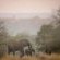 Tanda Tula Safari Camps - 141276