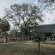 Tanda Tula Safari Camps - 141279