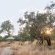 Tanda Tula Safari Camps - 141285