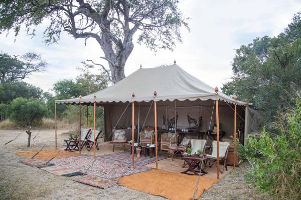 Tanda Tula Safari Camps - 141287