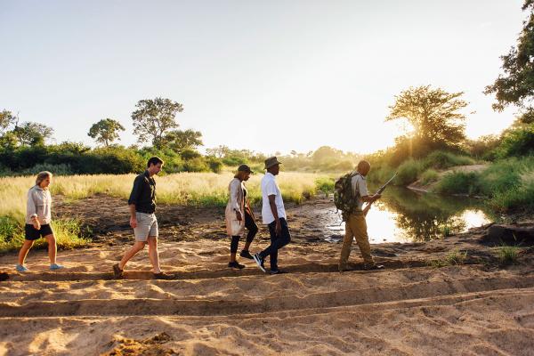 Tanda Tula Safari Camps - 141288