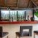 St. Lucia Safari Lodge - 141416