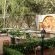 The Wild Olive Guest House - Pretoria - 141601