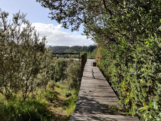 Viewing Deck