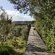 Viewing Deck