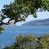 Phoenix Lodge and Waterside Accommodation - 141712