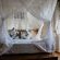 Lion Room 