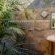 Outside Shower