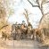 Royal Malewane - 141960