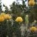 Knorhoek Guesthouse Nature Views
