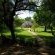 Tuli Safari Lodge