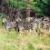 Fugitives Drift Lodge - 142673