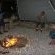 Braai in Wigwam
