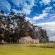 Montpellier de Tulbagh - 142996
