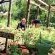 Addo African Home  - 143419