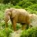 Addo African Home  - 143427