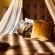 Addo African Home  - 143445