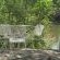 Duck Cottage - 143562