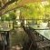 Wooden deck