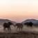 Motswiri Private Safari Lodge - 144334