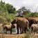 Motswiri Private Safari Lodge - 144374