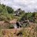 Motswiri Private Safari Lodge - 144377