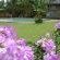 Stokkiesdraai Holiday Apartments - 144694