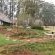 Little Milton - 145040