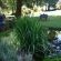 Little Milton - 145051