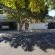 Cape Breeze - 145434