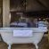 Nkomazi Game Reserve - 145760