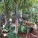 Lephalale Guest House - 145844