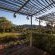 La Cabriere Country House - 145988