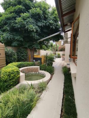 Rene's Guesthouse - 146013