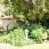 Wille Garden Flair Guesthouse - 146806