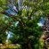 Madison House - 147006