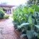 Ah Ha Guest House - 147147