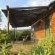 The Country Garden - 147161