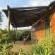 The Country Garden - 147161
