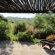 The Country Garden - 147162