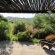 The Country Garden - 147162