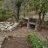 The Country Garden - 147197