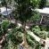 Hobbit Boutique Hotel - 147292