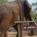 Ku Sungula Safari Lodge - 148160