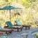 Ku Sungula Safari Lodge - 148161