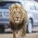 Cambalala Guest House - Kruger Park Lodge - 148262