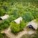 Bundox Explorer Camp - 148611