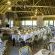 Main Restaurant 